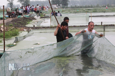 特大暴雨致赣榆农业受到重创