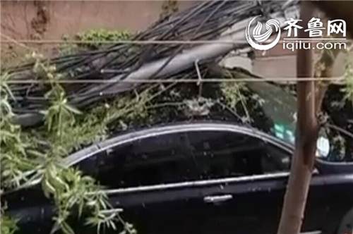 济南：大风刮倒信号塔 砸坏两辆小轿车受损严重