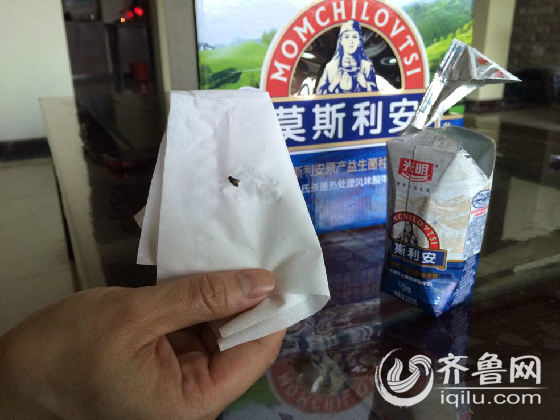 济南市民光明莫斯利安酸奶喝出苍蝇 售后：愿赔200元
