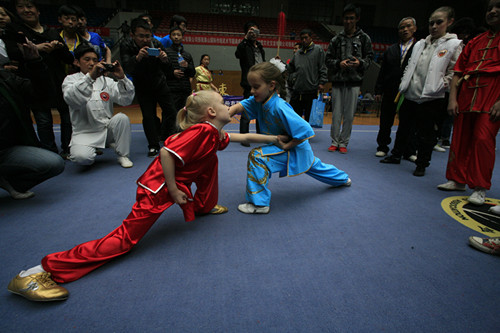 首届中国(泰山)国际传统武术节开幕