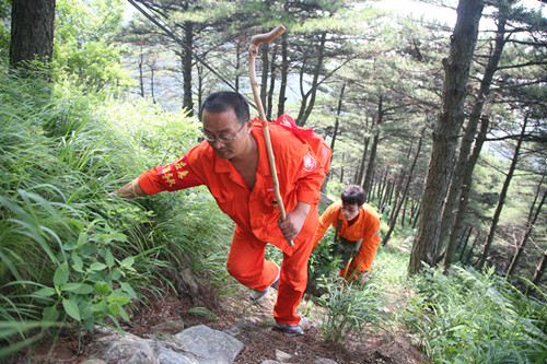 泰山电力人大山上踏出了“第五条登山路”