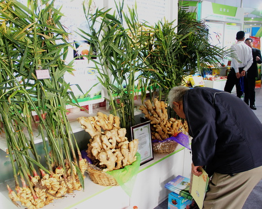 第二届山东（济南）国际农产品交易会开幕