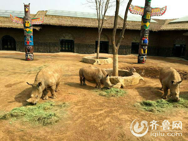 济南新建野生动物世界国庆前有望试开园 物种超160种