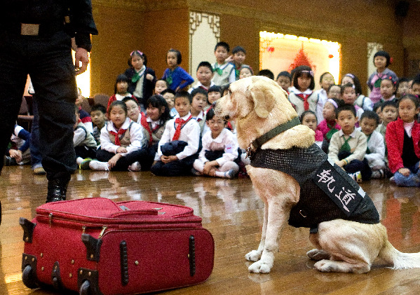 上海小学生开展“神秘的公安”校外活动