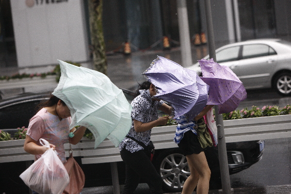 狂风暴雨袭申城