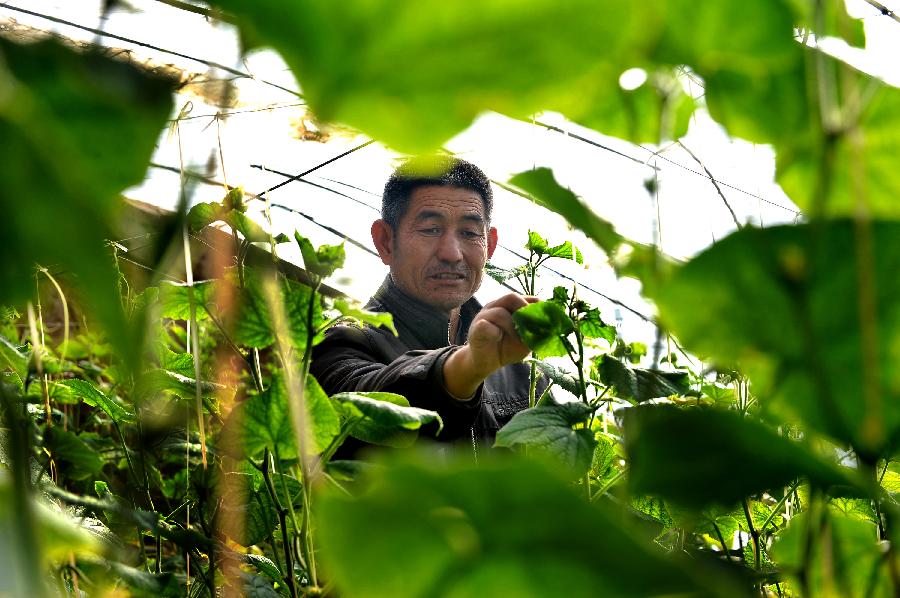 走基层·迎接十八大——小山村大变化