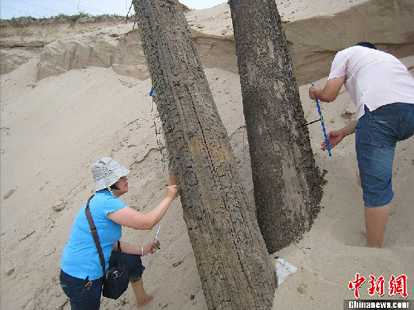 西安发掘巨型渭桥遗址 为同期世界最大木构桥梁