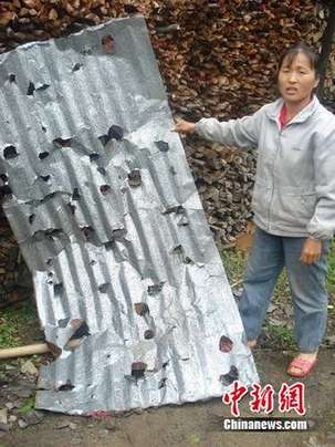 广东北部遭遇特大冰雹 砸死鸭子击穿铁皮(图)