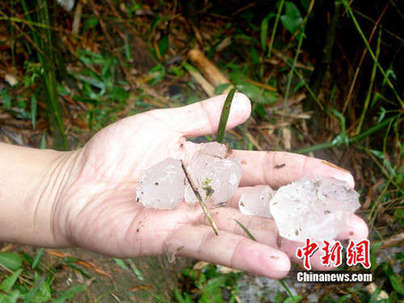 广东北部遭遇特大冰雹 砸死鸭子击穿铁皮(图)