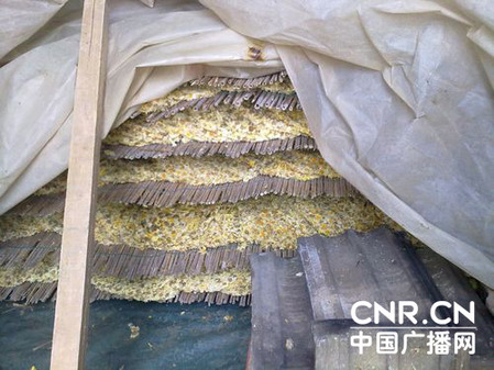 江苏射阳每年200吨毒菊花入市 商贩称无人检测