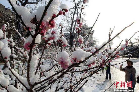 中国北方遭寒潮南方连阴雨专家称“春天”尚需时日
