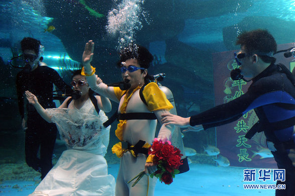 济南：海底婚礼 见证别样的“海枯石烂”
