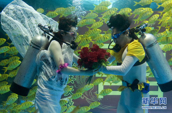 济南：海底婚礼 见证别样的“海枯石烂”