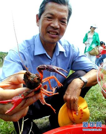 高清大图：不只是食人鱼 警惕“外来物种入侵”