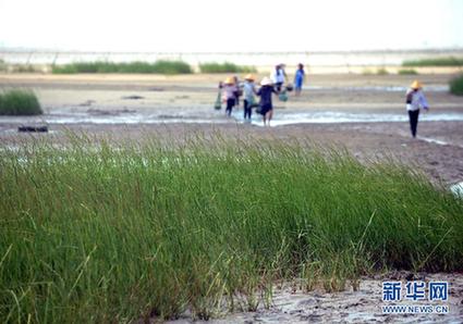 高清大图：不只是食人鱼 警惕“外来物种入侵”