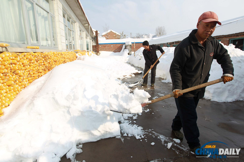 北京延庆遭遇52年来最大降雪 抗雪救灾有序进行