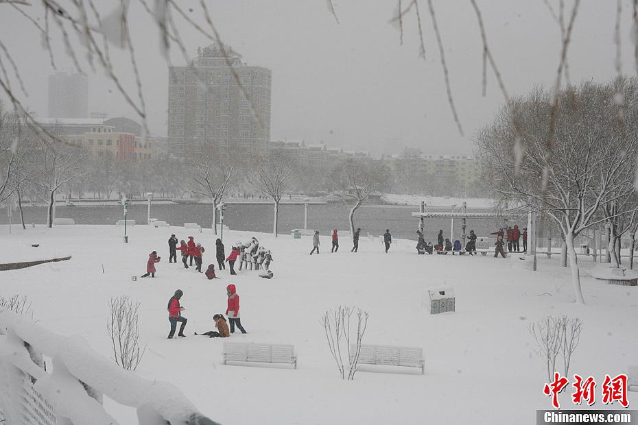 黑龙江鹤岗遭遇50年一遇暴雪(图)