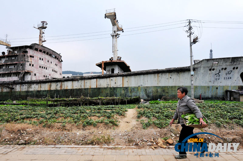 福州搁浅近40年水泥船“古田号”开始拆解