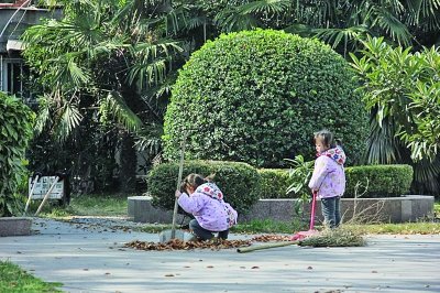 3岁双胞胎姐妹帮清洁工奶奶扫马路引关注 图