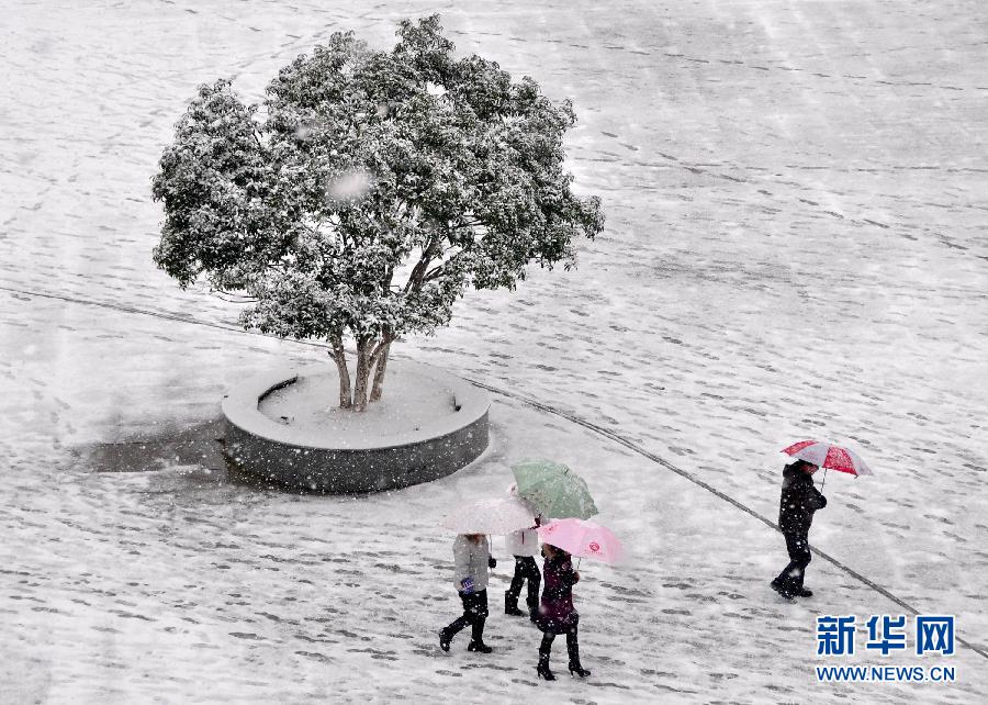 近期全国天气28年“最冷” 南方低温雨雪将加强