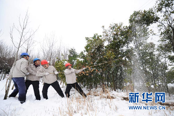 大雪侵袭致安徽30万余人受灾 90间房屋倒塌