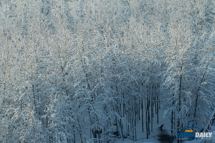 北京春分迎强降雪 颐和园游人“雪战”