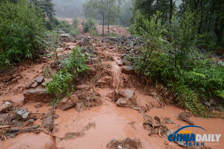 暴雨来袭——多地遭遇暴雨洪涝灾害