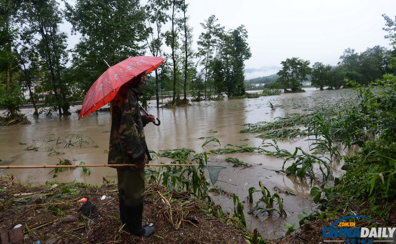 暴雨来袭——多地遭遇暴雨洪涝灾害