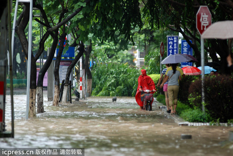 台风西马仑登陆 厦门一夜间变泽国