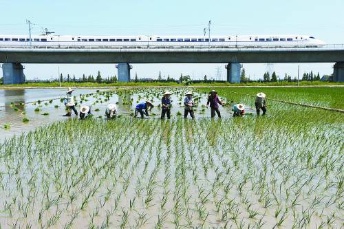 全国10大高温城市浙江省独占7席 江南热 最热是浙江