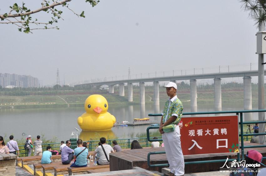 高清：北京大黄鸭拼接错误变尖嘴鸡 已连夜修复