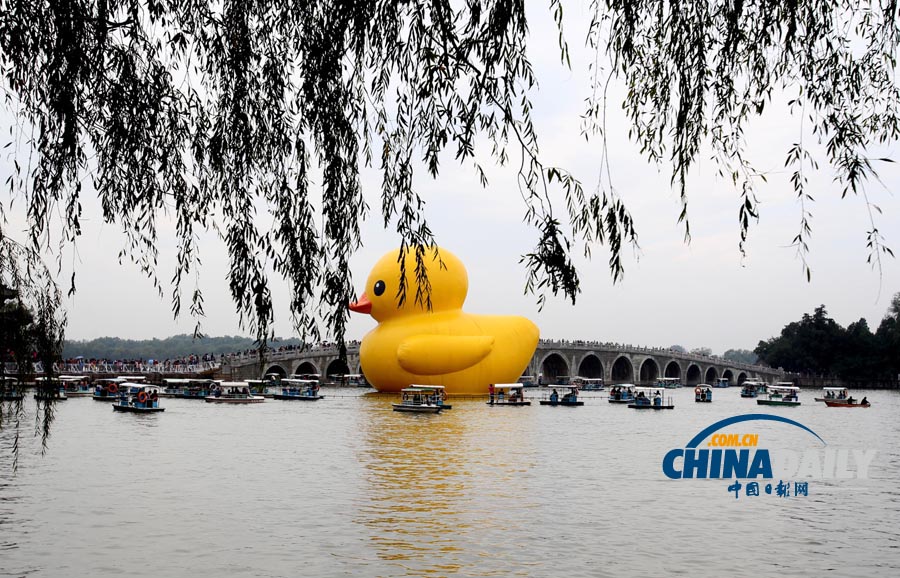 数万名中外游客冒雨进颐和园看“大黄鸭”