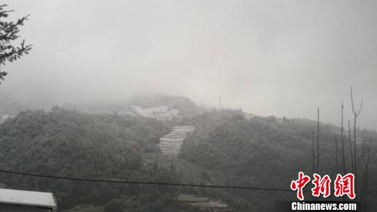 昆明迎来今年首场大范围降雪 引起网友狂欢(图)