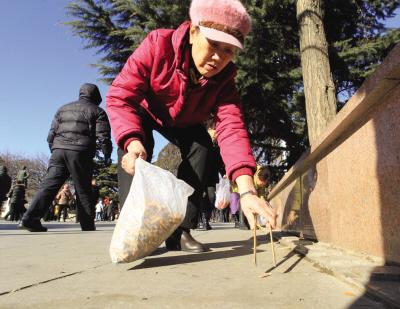 73岁“烟头大姐”走红网络 不到1年捡3.1万个烟头