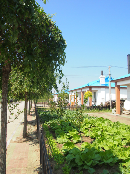 军民共建固边关—走进吉林边陲朝鲜族防川村