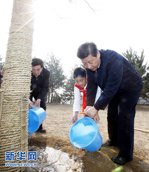 习近平:把义务植树深入持久开展下去 为建设美丽中国创造更好生态条件