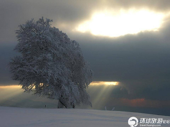 美得令人窒息的雪景(组图)