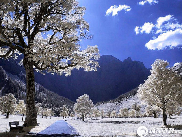 美得令人窒息的雪景(组图)