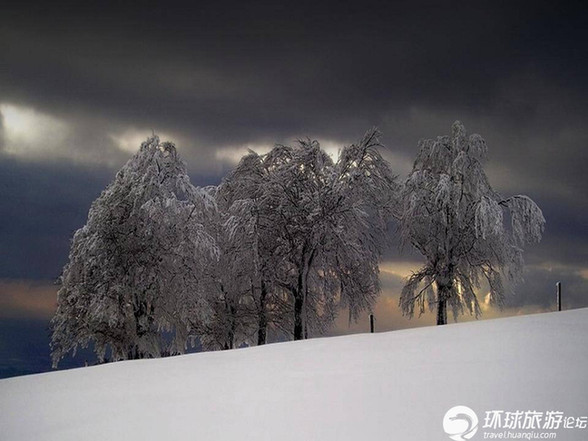 美得令人窒息的雪景(组图)