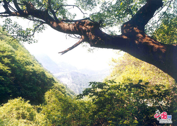 晋善晋美晋自然：用心感悟绵山美景