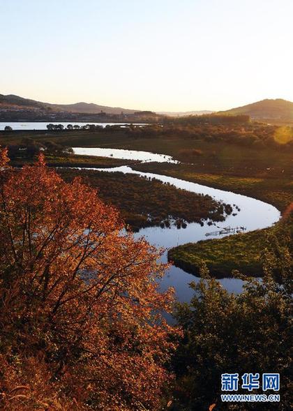 组图：美丽的雁鸣湖湿地