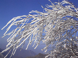 京城雪纷飞 细数十处最具京味赏雪地