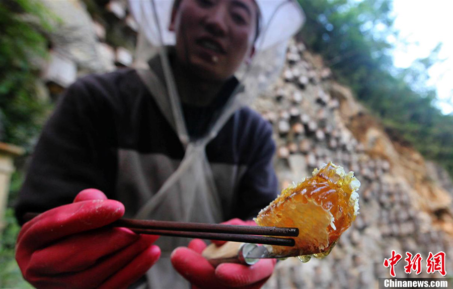 神奇！探秘奇特的神农架