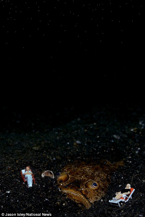 趣味摄影:水底小人国世界(组图)