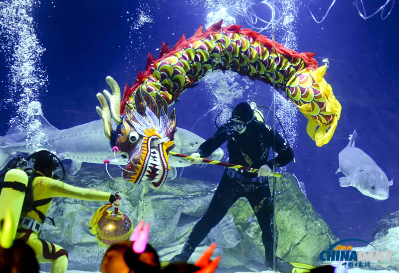 国内首次水下人偶style亮相北京海洋馆