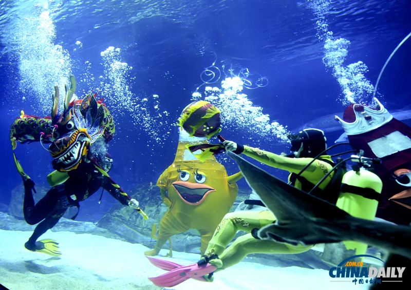 国内首次水下人偶style亮相北京海洋馆