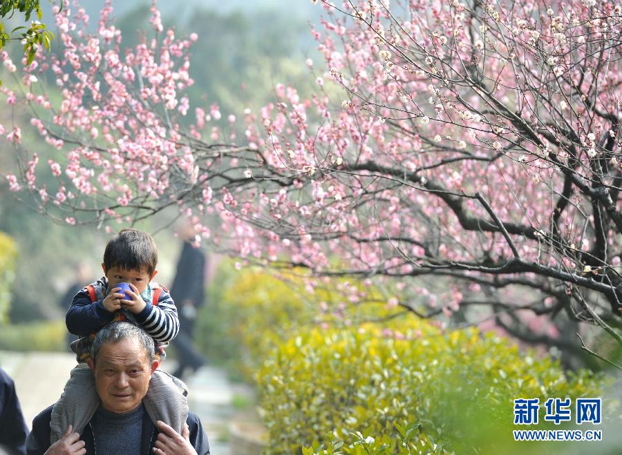 “花开意盎然，雀鸟上枝头”：听！春天的脚步声