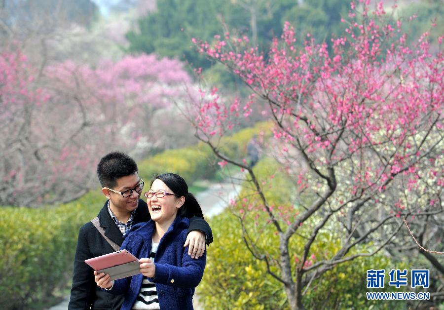 “花开意盎然，雀鸟上枝头”：听！春天的脚步声