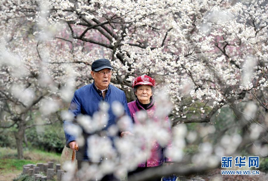 “花开意盎然，雀鸟上枝头”：听！春天的脚步声