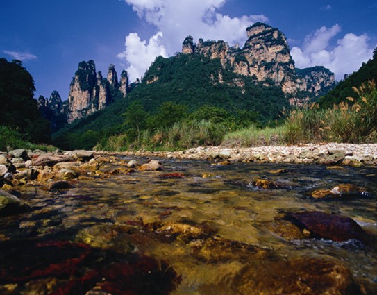 抢购“自由旅神” 千人免票畅游张家界